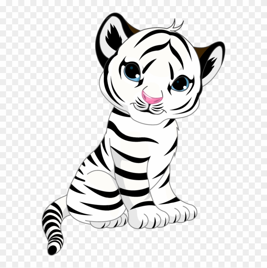 800 X 800 5 Clipart