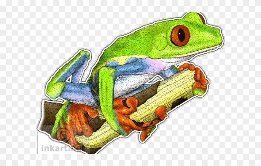 Green Frog Clipart Red Eyed Tree Frog - Png Download