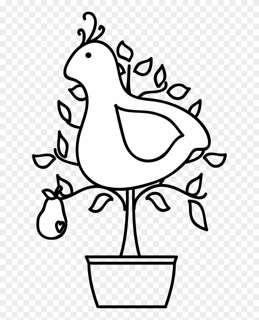 Partridge In Pear Tree Clipart