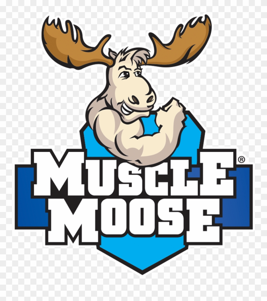 Muscle Moose Logo 915×915 Clipart