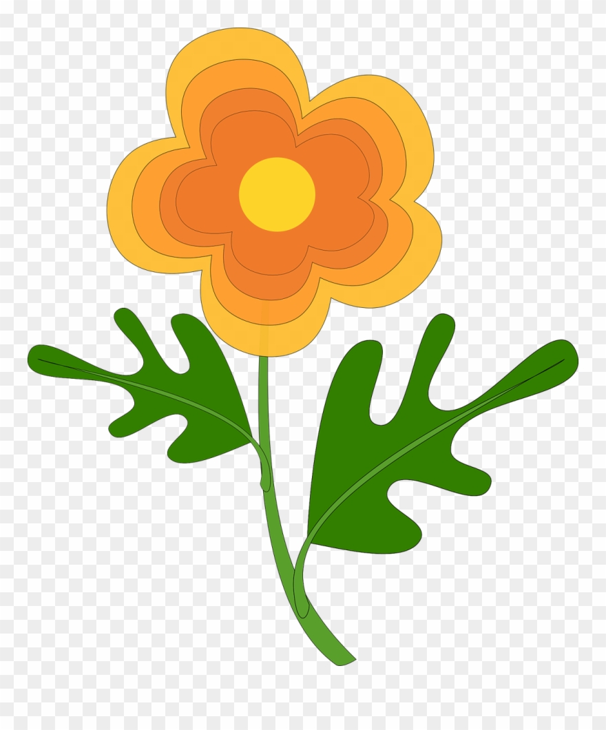 Flowers Color Clipart Flowering Plant - Png Download