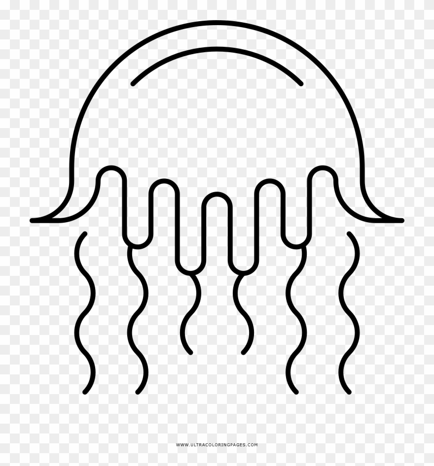 Jellyfish Coloring Page Clipart