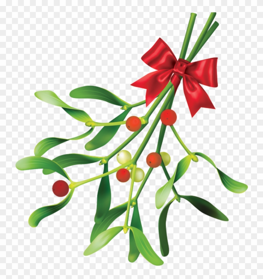 Holly Sticker Clipart