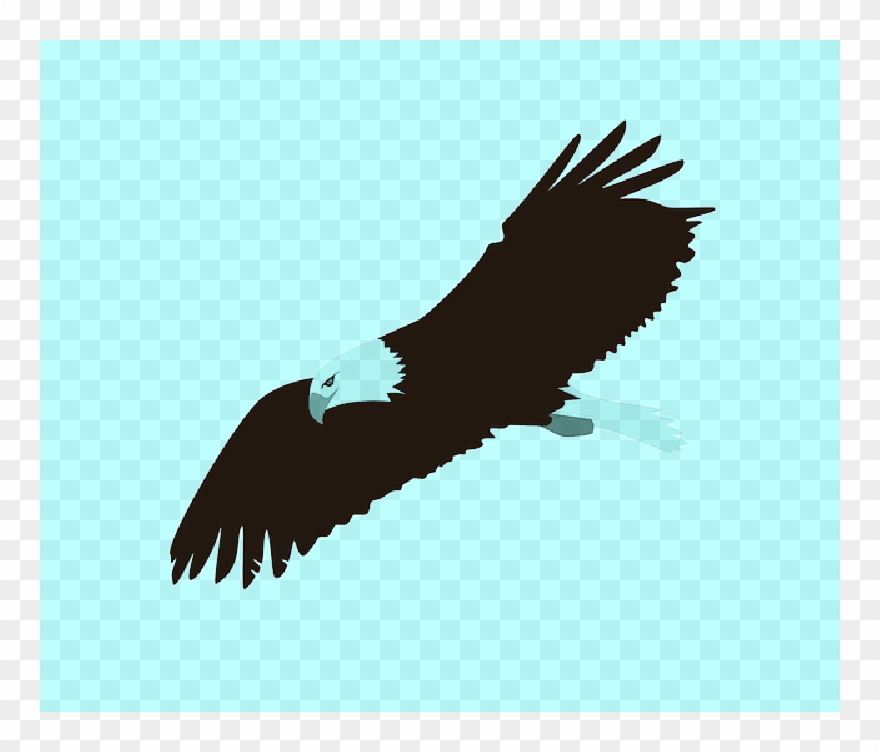 Flying Drawing At Getdrawings Com Free For Clipart
