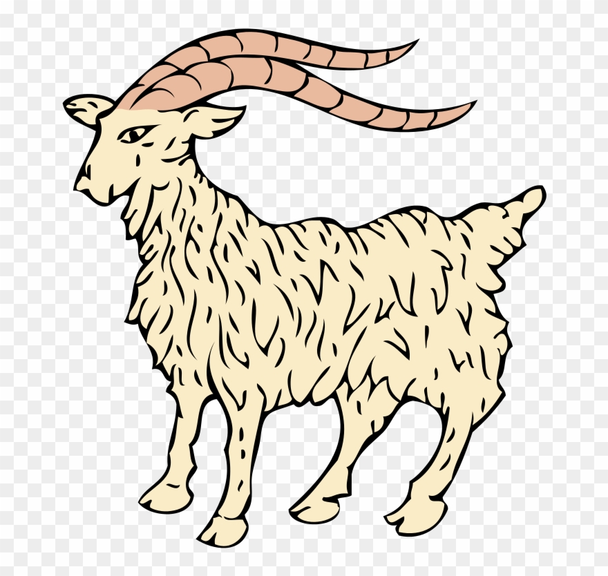 Istrian Goat V2 Clipart