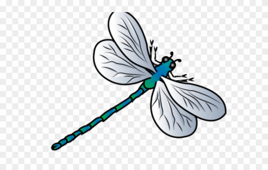 Dragonfly Clipart Flying Dragon - Png Download