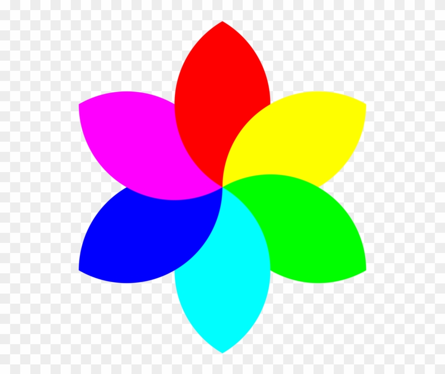 All Photo Png Clipart Transparent Png