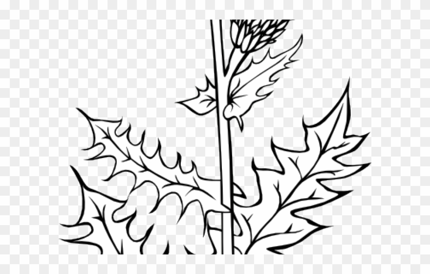 Weed Clipart Black And White - Png Download