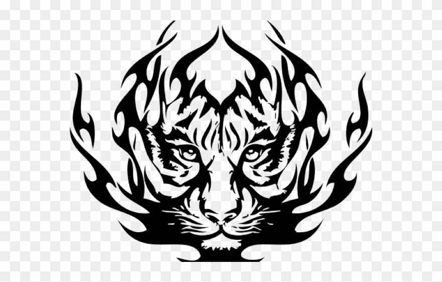 Drawn White Tiger Bamboo Drawing Clipart