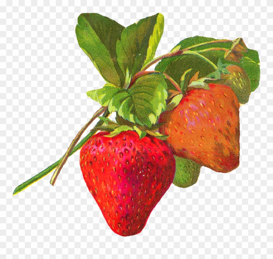 A Free Image Blog Offering Royalty-free, Printable Clipart