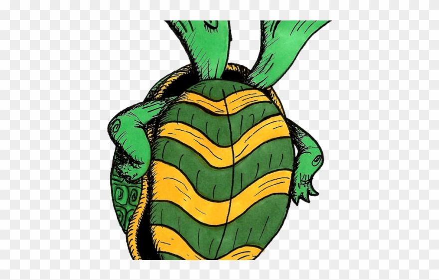 Tortoise Clipart Baby Boy Turtle - Png Download
