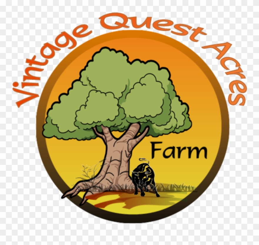 It's Old Fashioned Because We Don't Use Toxic Chemicals, Clipart