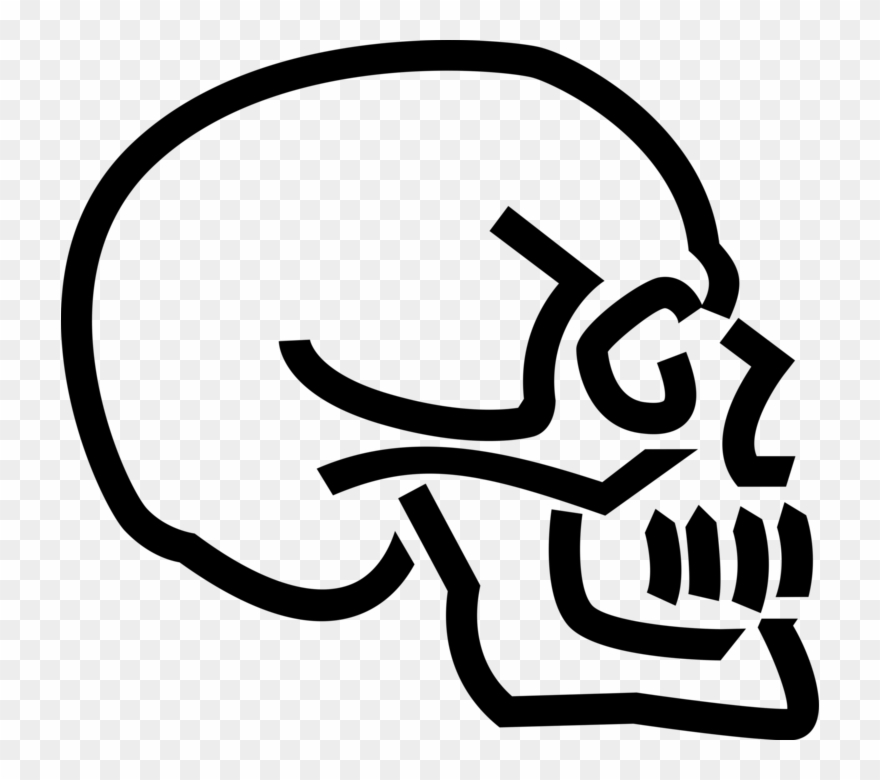 Vector Illustration Of Human Skull Skeleton Clipart