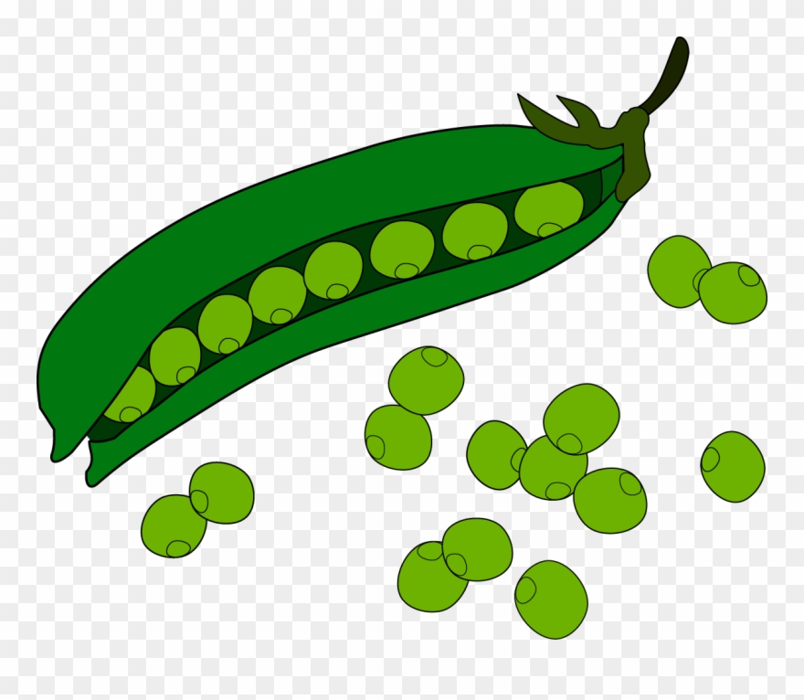 Pea Fruit Clip Art - Png Download