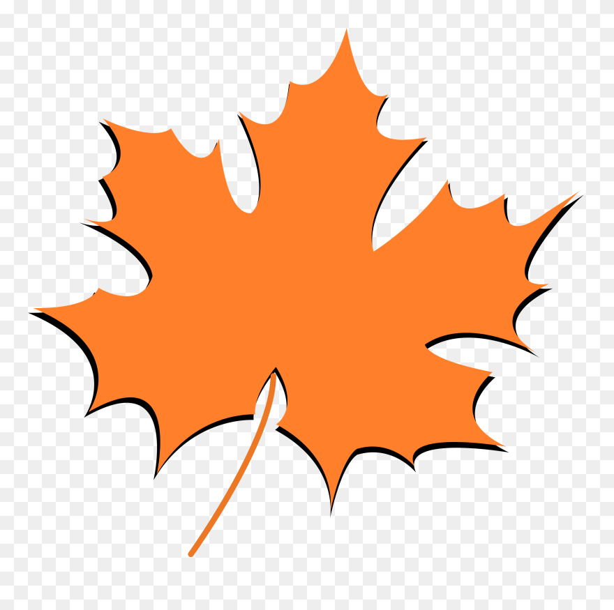 Autumn Leaf Image Clipart