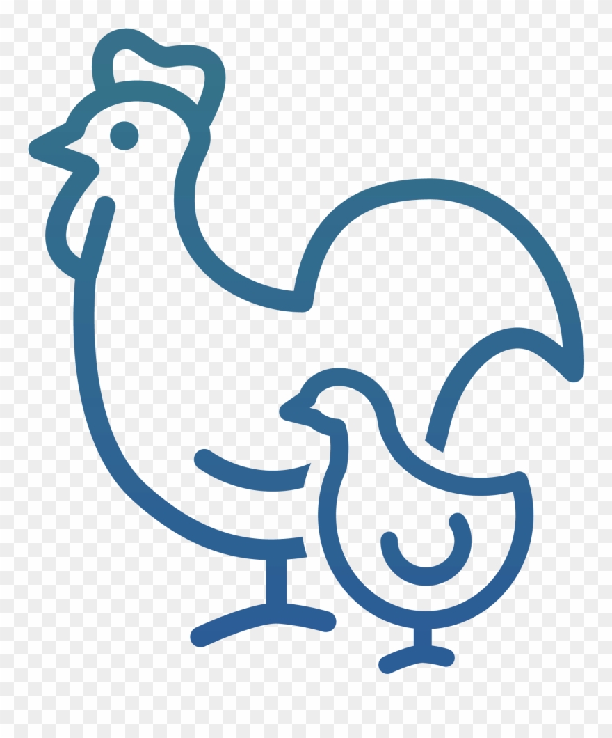 Icon Poultry & Egg Production Clipart