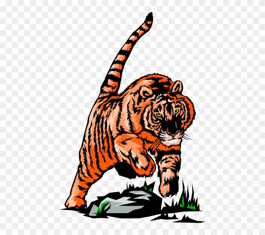 More In Same Style Group - Siberian Tiger Clipart
