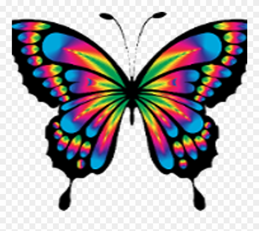 Butterfly-only1 - Tie And Dye Butterfly Clipart