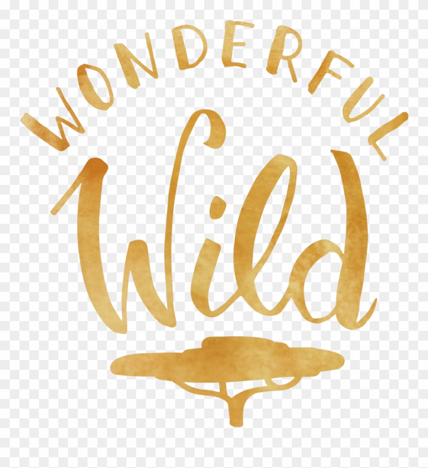 Wonderful Free Png Image - Calligraphy Clipart