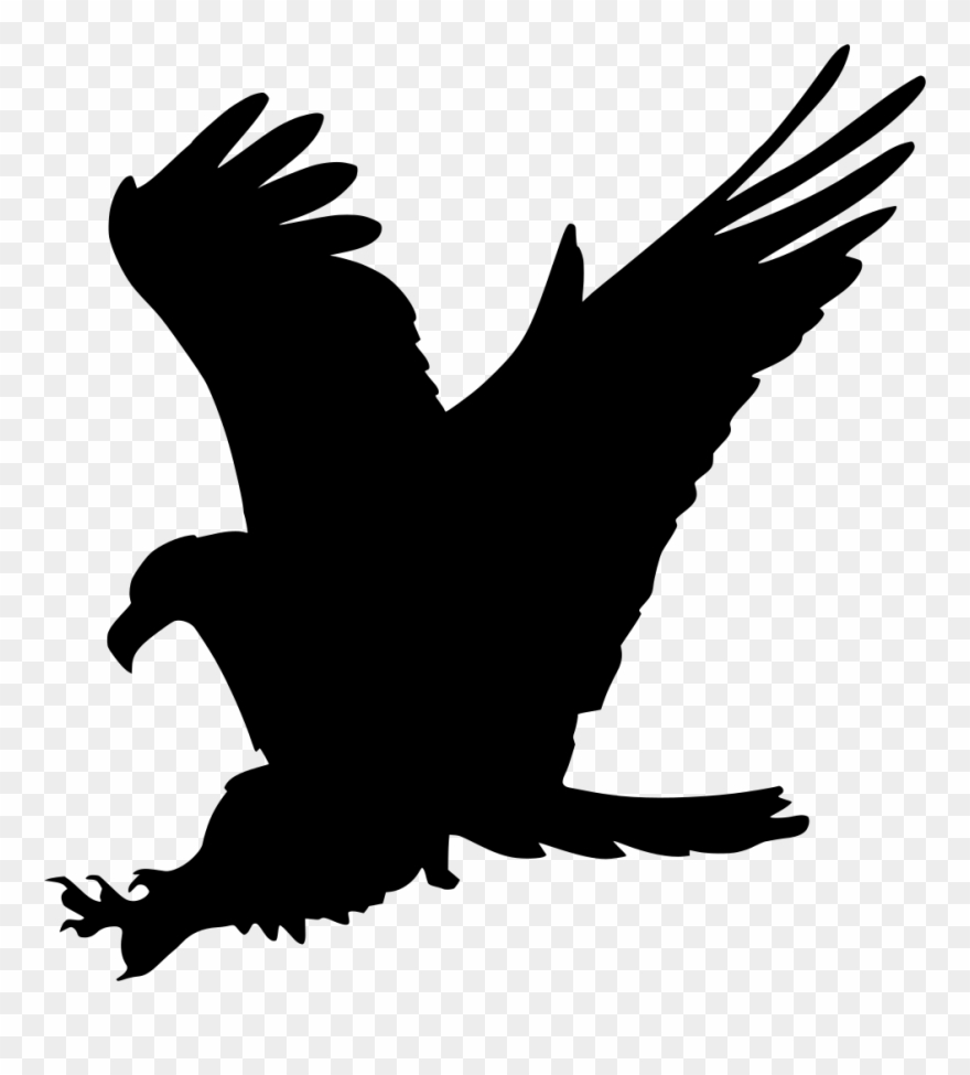 Info - Gambar Burung Elang Kartun Clipart
