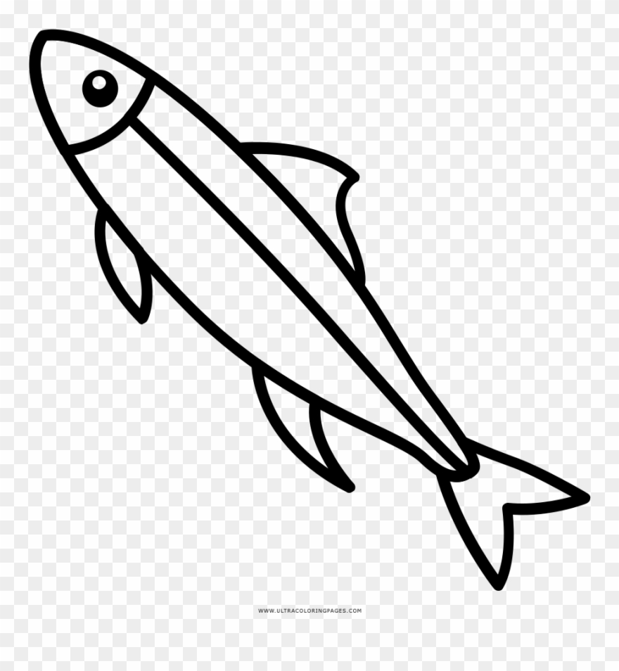 Sardine Coloring Page - Sardine Drawing Clipart