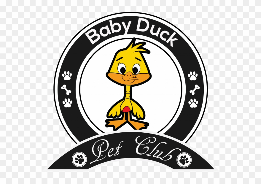 Baby Duck - Portable Network Graphics Clipart