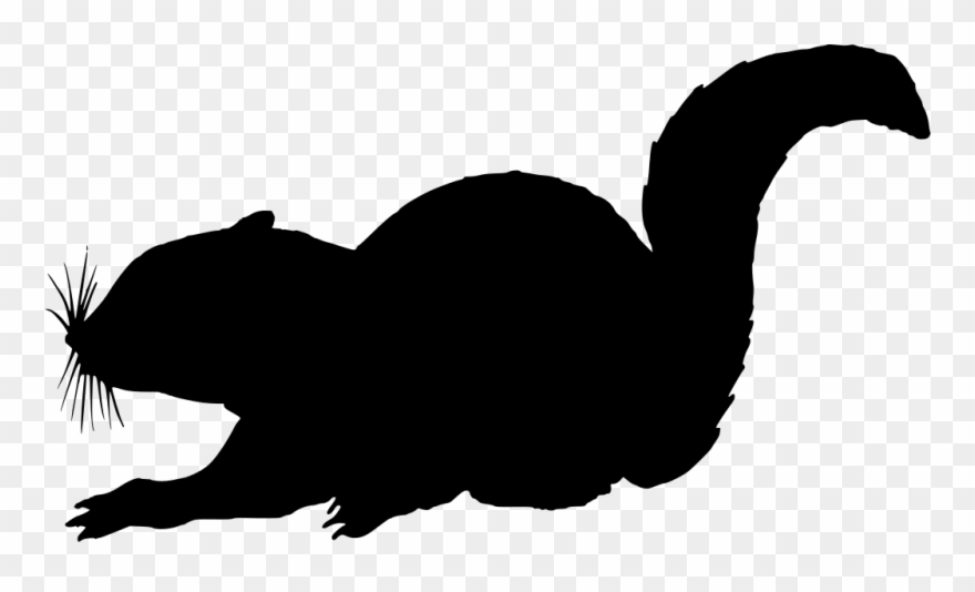 Info - Male Cat Silhouette Clipart