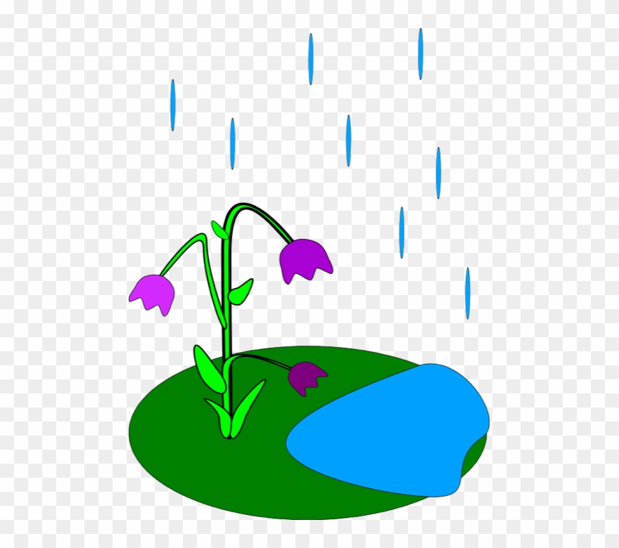 Clipart Of Showers, Anyway And Brings - Rainy Flowers Clipart - Png Download