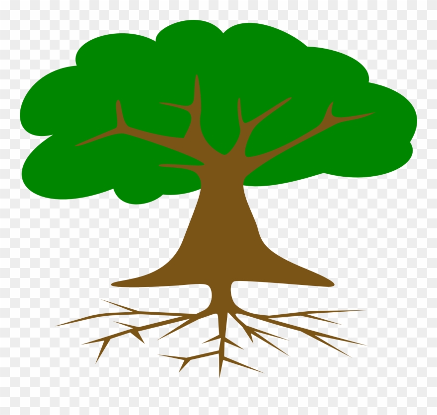 Tree Roots And Leaves Drawed - Arbol De Dibujo Con Raices Clipart