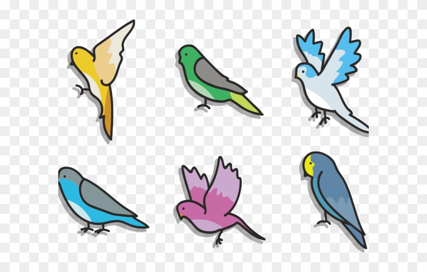Lovebird Clipart Brids - Songbird - Png Download