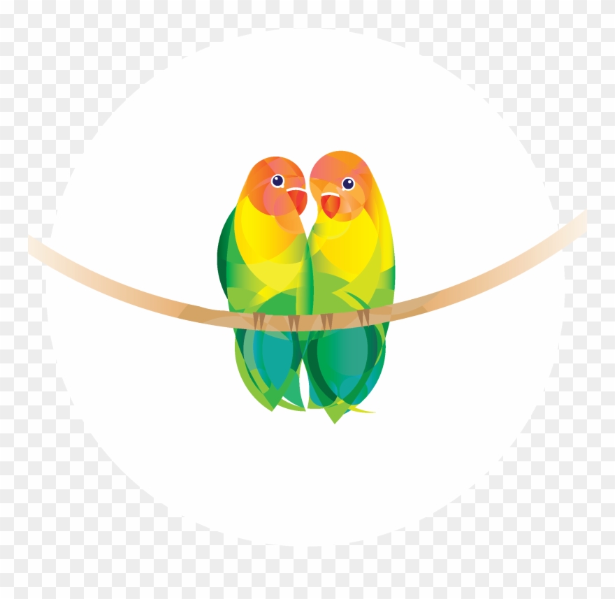 Leadership - Budgie Clipart