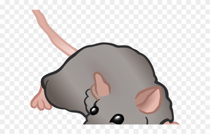 Rodent Clipart Harvest Mouse - Png Download