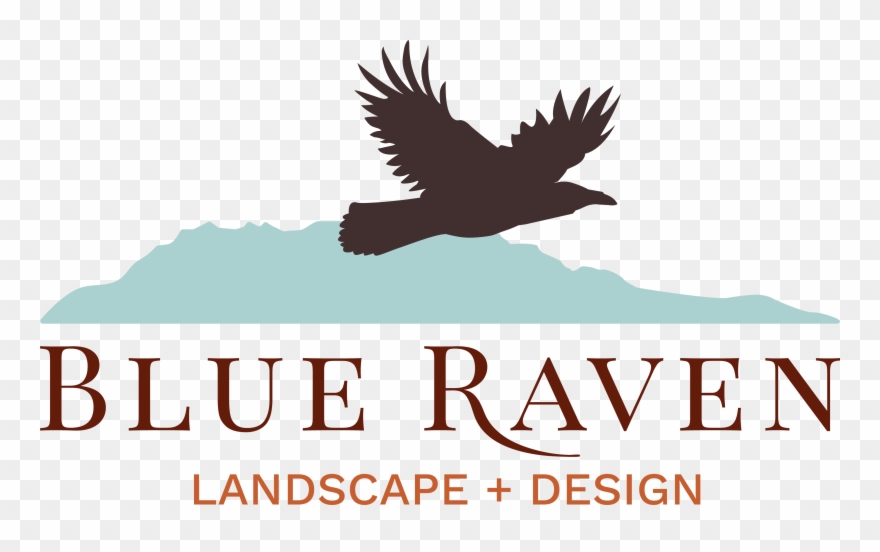 Jessica Robbin Massage - Golden Eagle Clipart