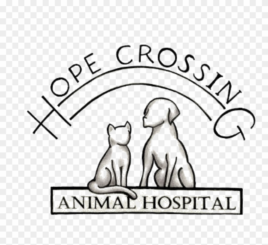 Vet Drawing Animal Care - Cartoon Clipart