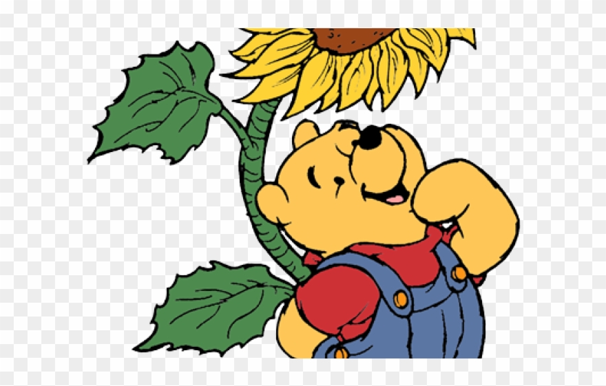 Sunflower Clipart Summer - Winnie The Pooh With Sunflower - Png Download