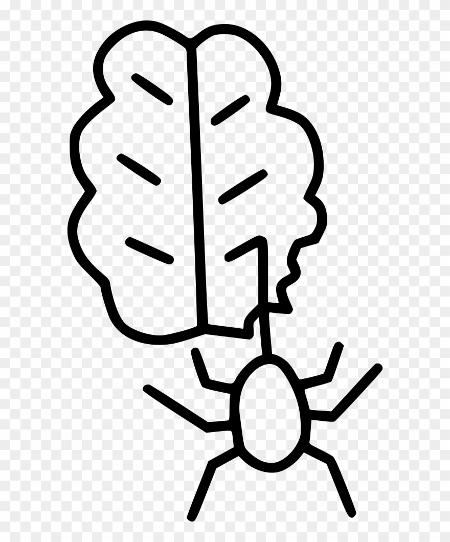 Picture Free Stock Brain Spider Svg Png Icon Free Download Clipart