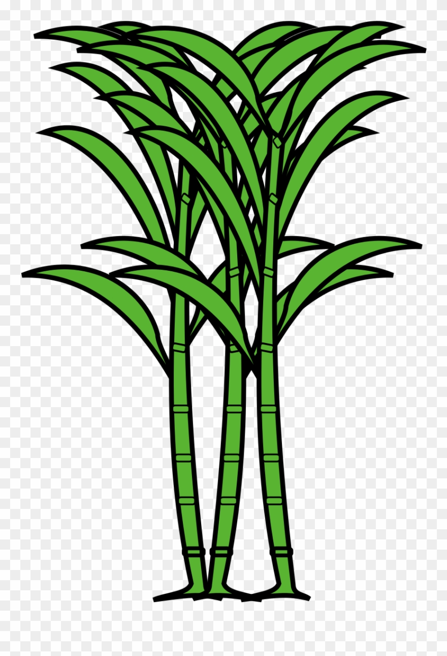 Open - Grass Clipart