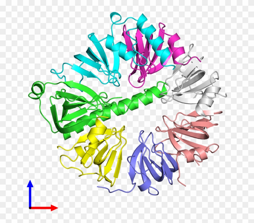 Pdb 4c92 Coloured By Chain And Viewed From The Front - Graphic Design Clipart