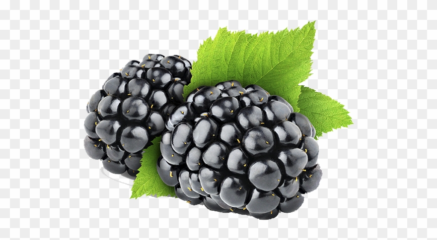 Blackberry Png - Blackberry Fruit Png Clipart