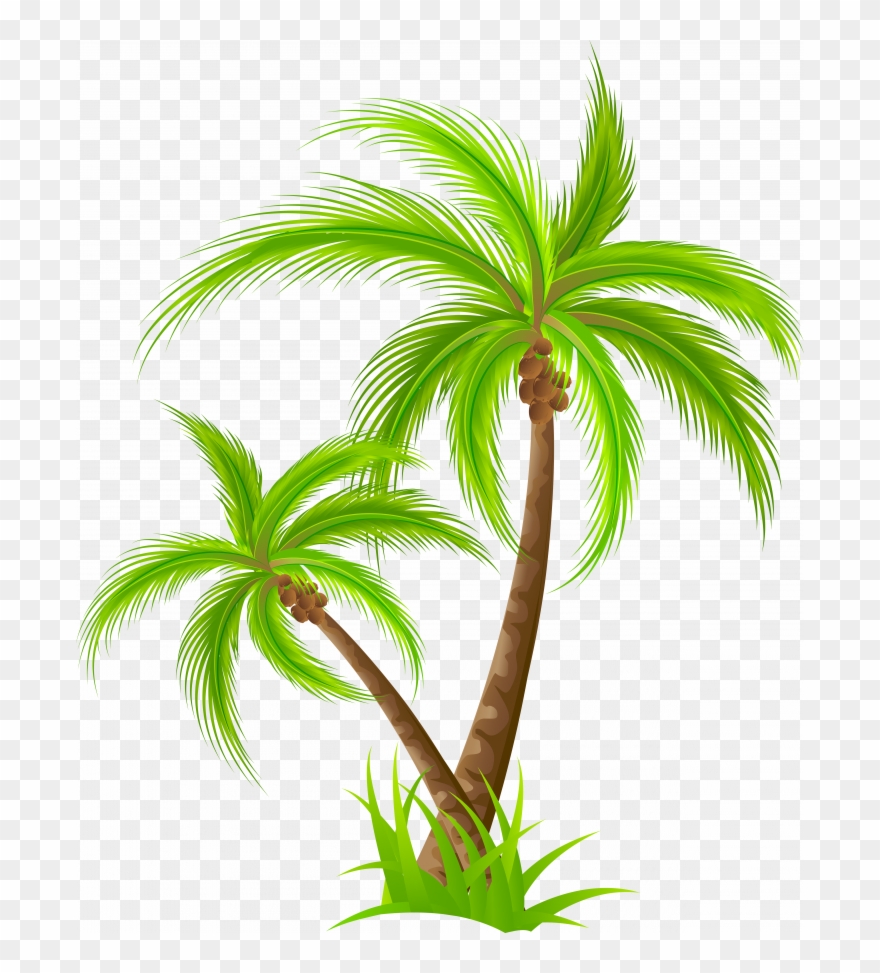 Medium Size Of Christmas Tree - Palm Tree Clipart Png Transparent Png