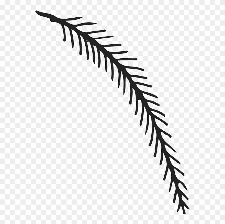 Pine Branch Rubber Stamp - Fern Clipart