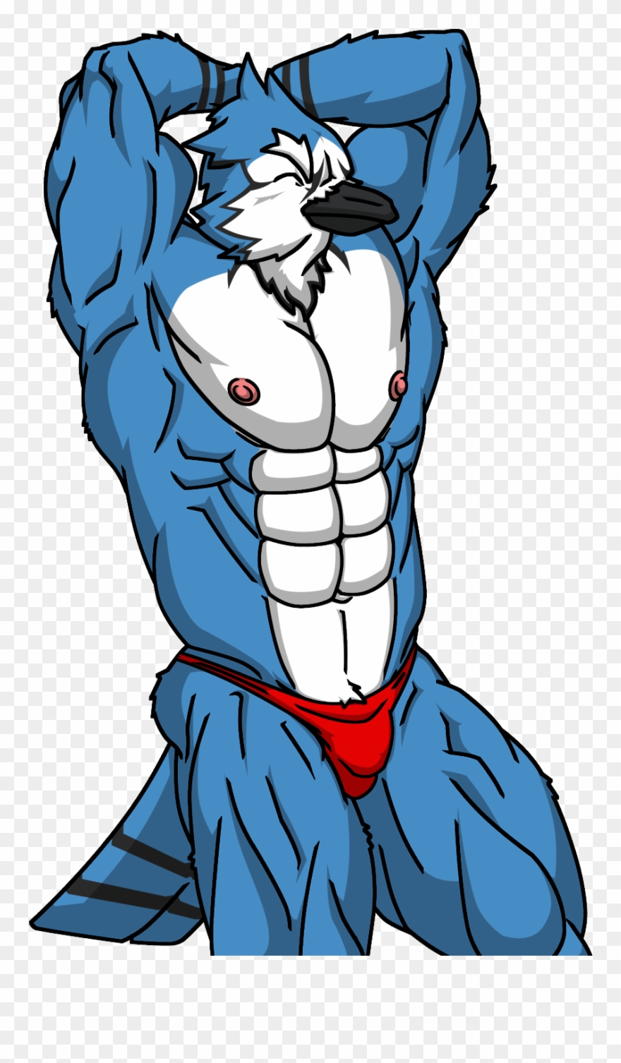 Blue Jay - Illustration Clipart