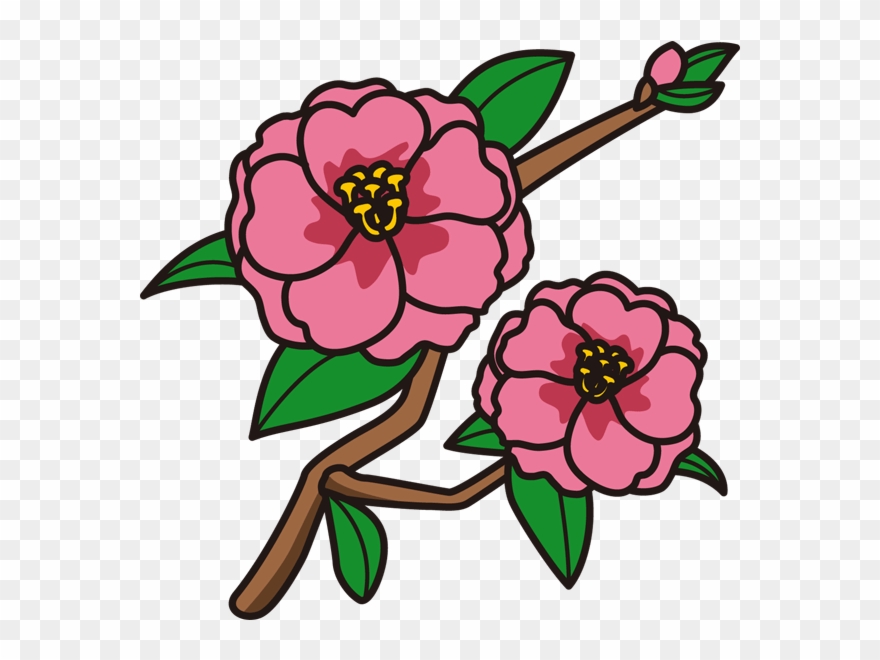 More Information - サザンカ イラスト 白黒 Clipart