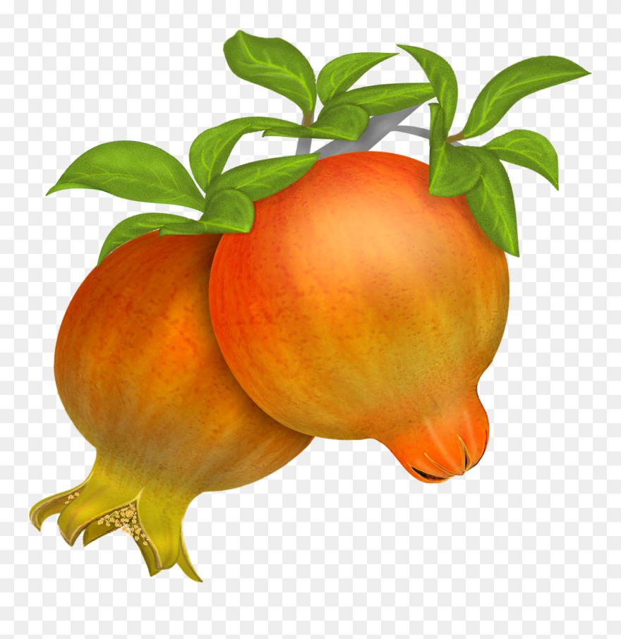 Pomegranates - Pomegranate In Vector Clipart