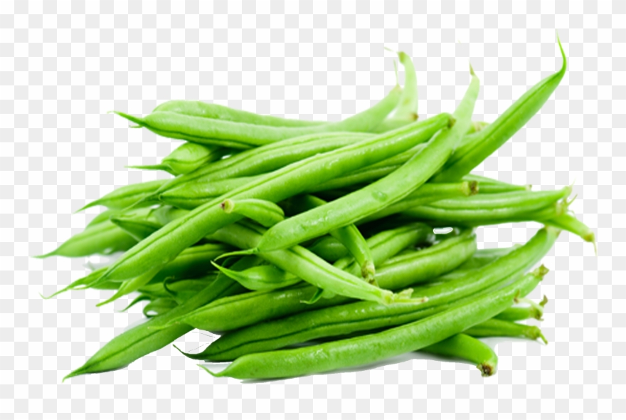 Green Bean Png Clipart