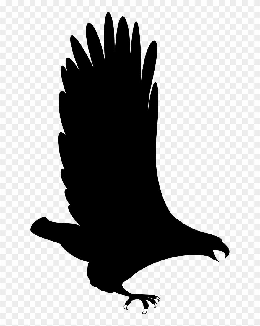 Info - Eagle Clipart
