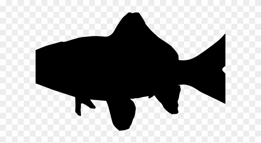 Trout Clipart Silhouette - Silhouettes Of A Shark - Png Download