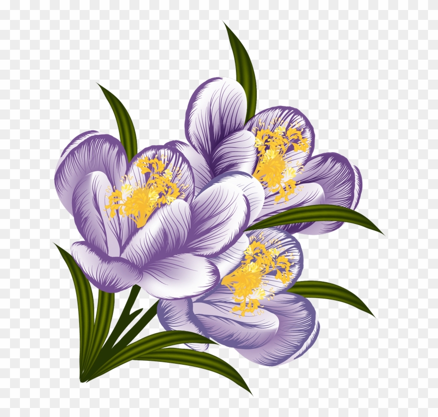 Árvores, Jardim E Etc - Drawing Clipart