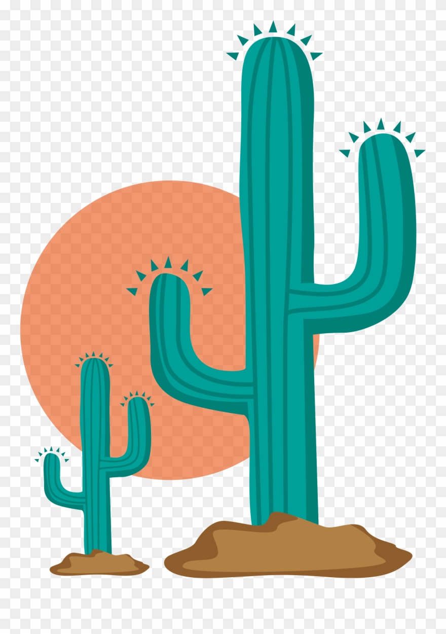 Cactaceae Clip Art - Cactus Vector - Png Download