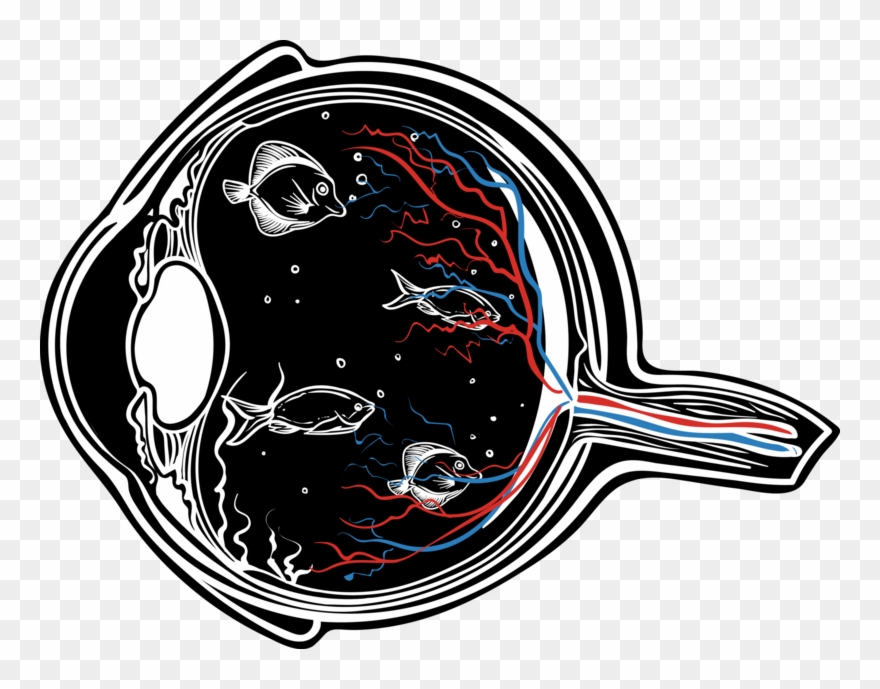 Aquarium Eye - Front - Back - Illustration Clipart